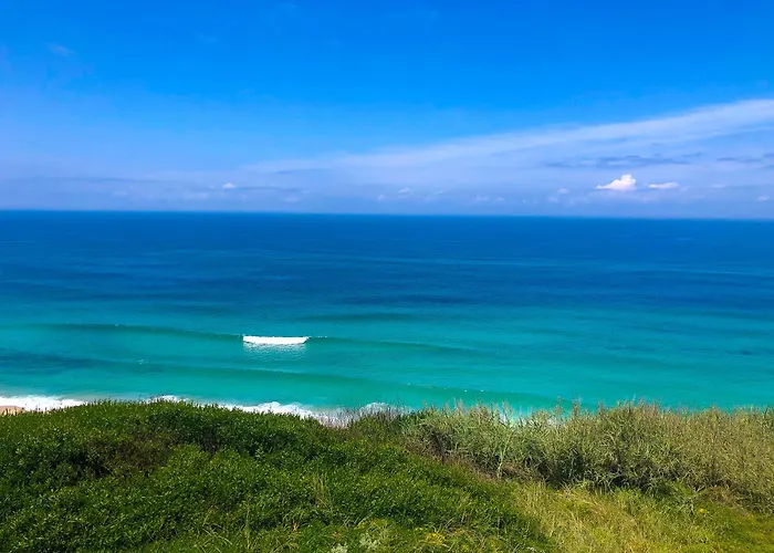 Feel The Ocean Design *