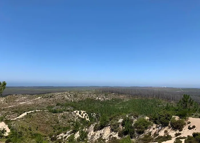 Feel The Ocean Design *