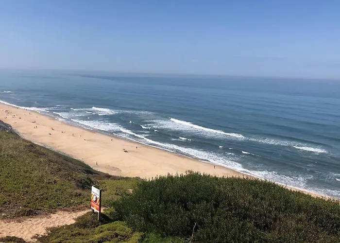 Feel The Ocean Design *