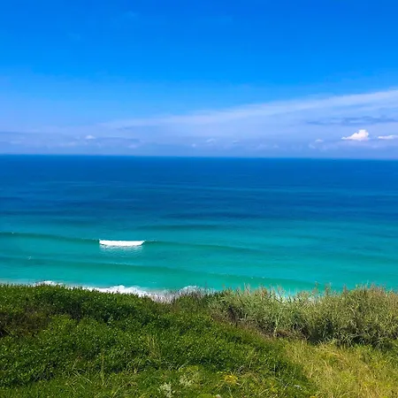 Feel The Ocean Design *