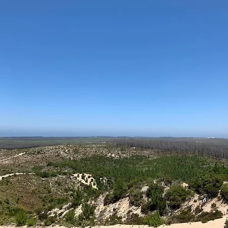 Feel The Ocean Design *